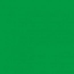 Тканевый хромакей GREEN SCREEN WRINKLE RESISTANT BACKDROP 2,7х6,1м.