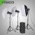 Комплект импульсного света Visico VL PLUS 300 Creative kit с сумкой