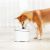 Автоматическая поилка Xiaomi Pet Drinking Fountain