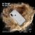 Чехол Caseology Skyfall для iPhone XR Серебро