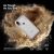 Чехол Caseology Skyfall для iPhone XR Золотой