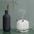 Увлажнитель воздуха Xiaomi Sothing Deer Humidifier&Light DSHJ-H-009 Белый