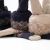 Перчатки для сенсорных экранов Xiaomi FO Touch Screen Warm Velvet Gloves Синие