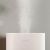 Увлажнитель воздуха Xiaomi Zhimi Air Humidifier 2.25L