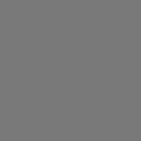 Бумажный фотофон Colortone 2.72x11м. Charcoal BDSV-2.75 №27