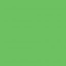 Бумажный фотофон Colortone 2.72x11м. Tech Green BDSV-2.75 №46