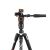 Befree 3-Way Live Advanced штатив для камер Sony Alpha