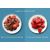 Поглотитель запаха Xiaomi Viomi Kitchen Refrigerator Air Purifier Sterilizing Odor Filter
