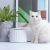 Поилка для животных Xiaomi Furrytail Белая