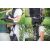 Рюкзак WANDRD PRVKE 21 Photo Bundle Черный
