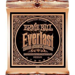 Струны для акустической гитары Ernie Ball P02544