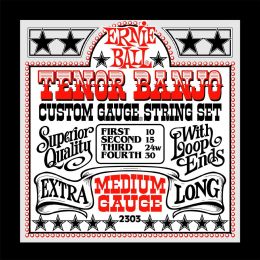 Комплект струн Ernie Ball P02303