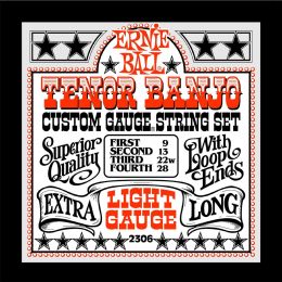 Комплект струн Ernie Ball P02306