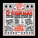 Комплект струн Ernie Ball P02312