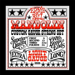 Комплект струн Ernie Ball P02323