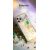 Чехол Kingxbar Lucky для iPhone 12/12 Pro Clover