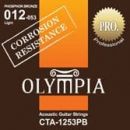 Струны для акустической гитары Olympia CTA1253PB
