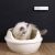 Дезодорант для удаления запаха XIAOMI mijia PETKIT Pura air smart pet