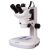 Микроскоп стереоскопический Bresser Science ETD-201 8–50x Trino