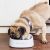 Миска весы Xiaomi Petkit Smart Weighing Bowl