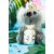 Чехол Kingxbar Adorkable для Apple Airpods Candy Alpaca