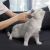 Расческа-триммер для животных Xiaomi Pawbby