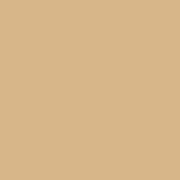 Фон бумажный 1,5 х 2,7 м (Цвет "25 Beige")