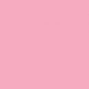 Фон бумажный 1,5 х 2,7м (Цвет "17 Carnation Pink" по каталогу Superior)