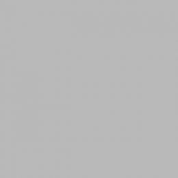 Фон бумажный 1,5 х 2,7м (Цвет "58 Slate Grey" по каталогу Superior)
