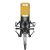 Микрофон Neewer NW-7000 Золотой + пантограф NB-35