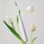Звуковая зубная щетка Xiaomi Oclean Air 2 Розовая (4 насадки)