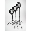 Комплект постоянного света FST SFL-603 KIT