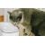 Поилка для животных Xiaomi Petoneer Smart Pet Water Dispenser Белая