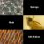 Чехол Ulanzi U-Lens Microscope для iPhone 11 Pro