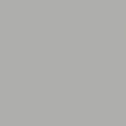 Фон бумажный Vibrantone 2,1x11м цвет Steel Grey