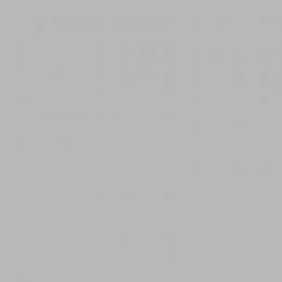 Фон бумажный 1,35 х 6м Vibrantone Цвет 05 Pastel Grey