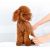 Машинка для стрижки животных Xiaomi Pawbby Pet Shaver