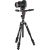 Штатив с жидкостной 3D-головкой Manfrotto Befree 3-Way Live Advanced