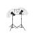 Комплект импульсного света FST E-250 Umbrella Kit