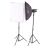 Комплект импульсного света FST E-250 Softbox Kit