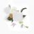 Ароматизатор Xiaomi Mijia Automatic Fragrance Machine Set MJXFJ01XW