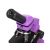Микроскоп Levenhuk Rainbow 2L PLUS Amethyst Аметист