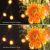Светофильтр K&F Concept Nano-X Black Mist 1/1 62мм