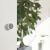 Метеостанция Xiaomi ClearGrass Bluetooth Thermometer Lite Белая
