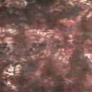Фон BC-008 BC-2770