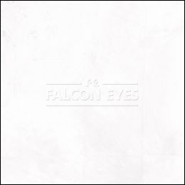 Белый тканевый фон Falcon Eyes 2,4х4 м.