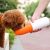 Прогулочная поилка для животных Xiaomi Moestar Rocket Portable Pet Cup 430ml Оранжевая