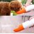 Прогулочная поилка для животных Xiaomi Moestar Rocket Portable Pet Cup 430ml Оранжевая