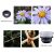 Объектив Apexel 12x/24x Macro для смартфона