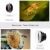 Объектив Apexel 12x/24x Macro для смартфона